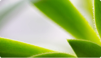 X Link Preview Example